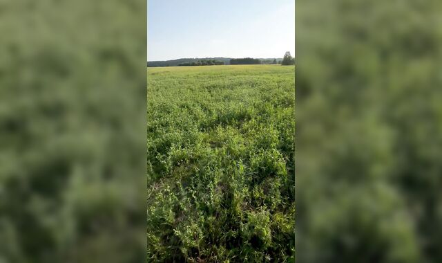 masturbating off in the area, lots of jizm