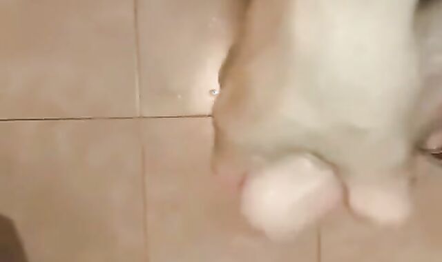 My very first vid, POINT OF VIEW onanism Cum shot