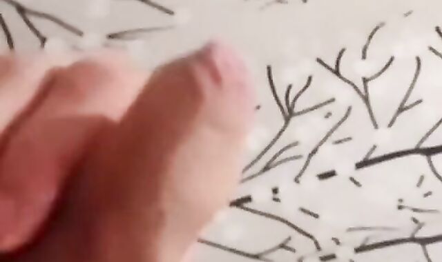 My very first vid, POINT OF VIEW onanism Cum shot