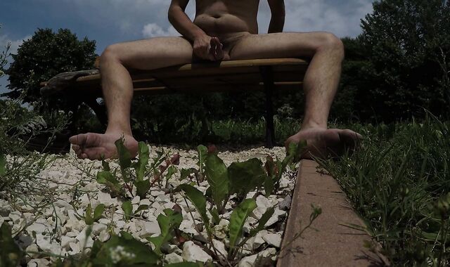 Public Risk - Wank myself in a public park