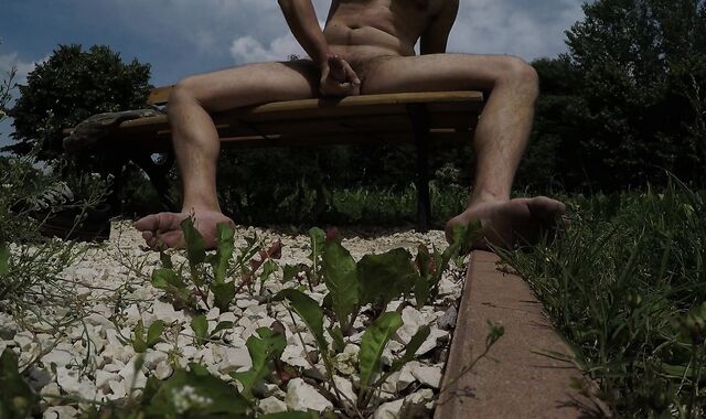 Public Risk - Wank myself in a public park