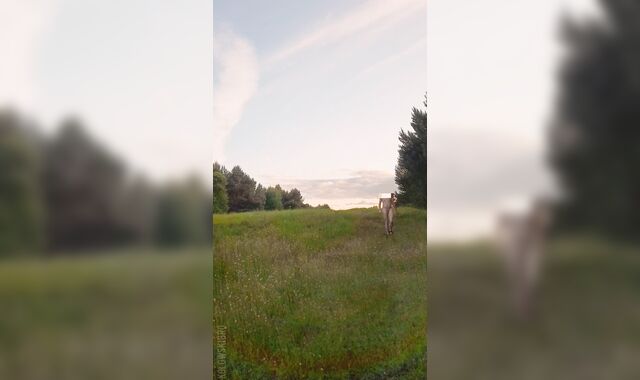 Youthful Nudist: A Stud Ambles Fully Bare in the Morning (Grind Fellow in the Village)