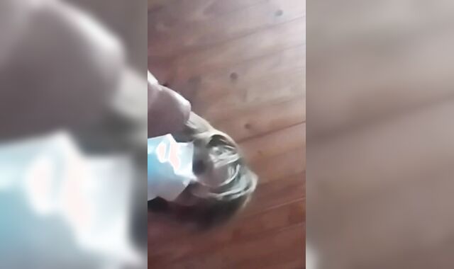 Gonzo Masculine Splooging Is REAL! Guts Wanking Compilation (PEE & JIZZ)