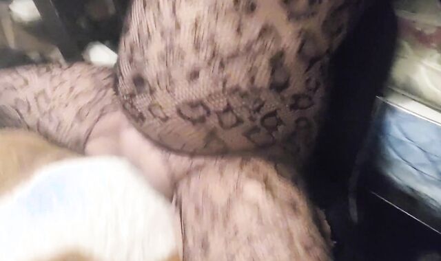 Tearing up wedged plaything part two