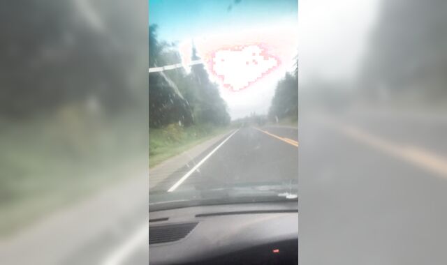 Public Wank off on logging road