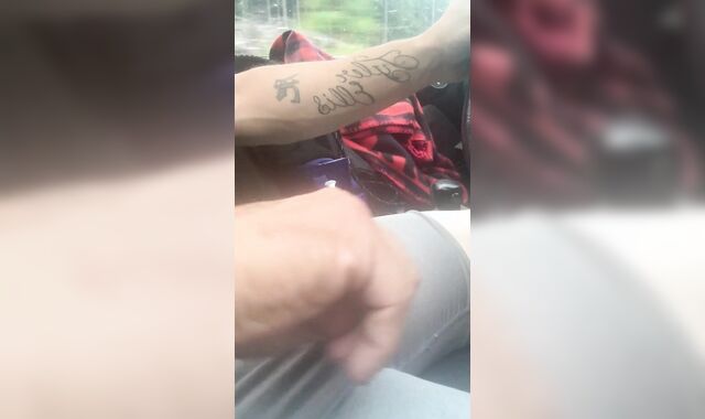 Public Wank off on logging road