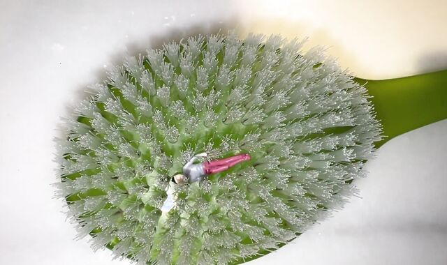 unsuspicious big douche brush trap