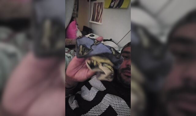 Spunking in my perspiring socks