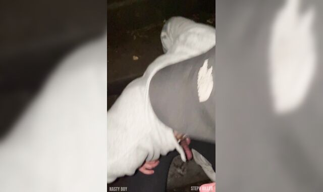 Jeune lad bien chaud se fait baiser dans capotes dehors , Stephkiller et Nastyboy
