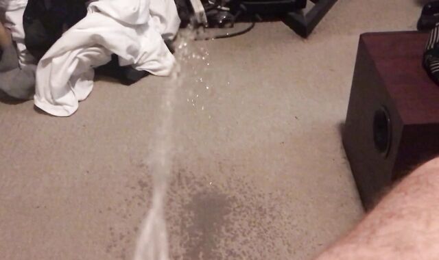 Peeing all over my Room (With Slow Mobility Replay)