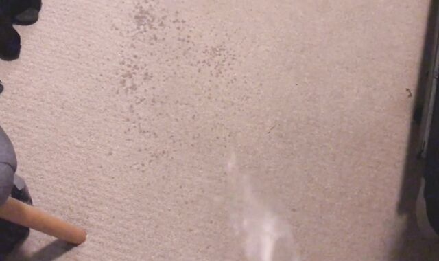 Peeing all over my Room (With Slow Mobility Replay)