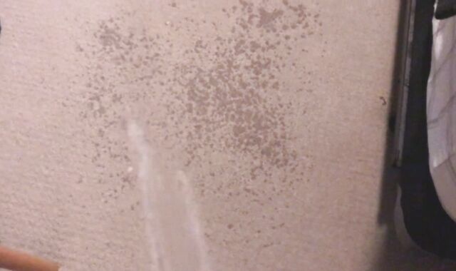 Peeing all over my Room (With Slow Mobility Replay)