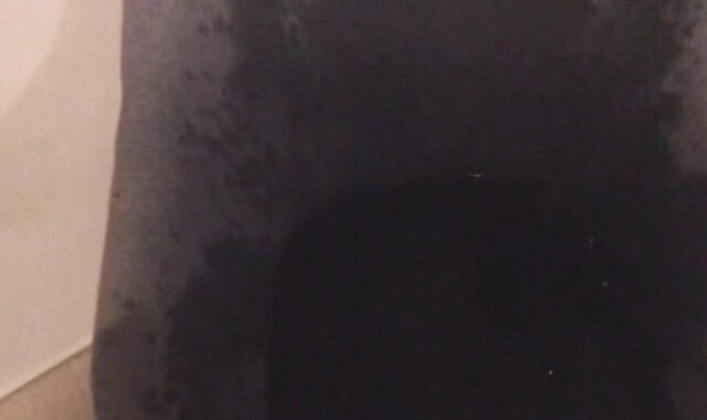 Peeing all over my Room (With Slow Mobility Replay)