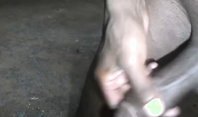 BIG BLACK COCK DUMPING