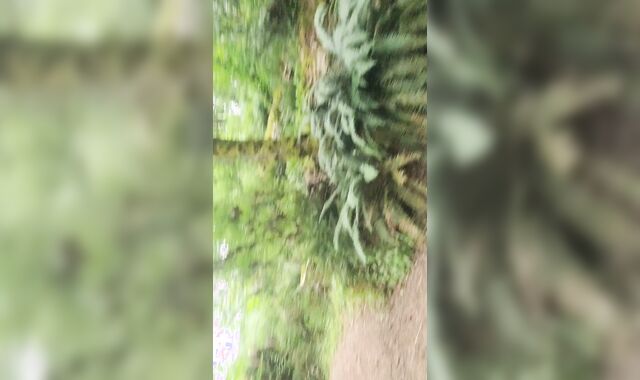 Inverted manmeat finger plow in public on the trail