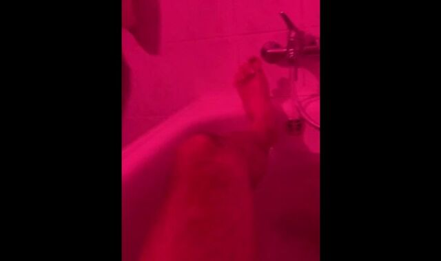 Who is my daddys's stud?