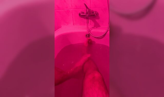 Who is my daddys's stud?