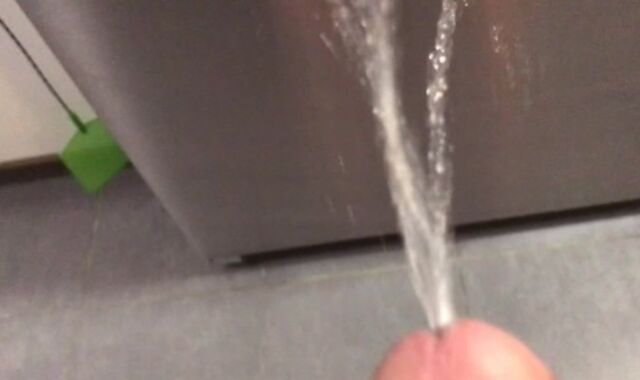 Peeing on my Kithchen Appliances (With Slow Mobility Replay)