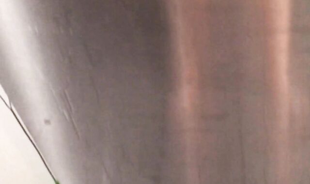 Peeing on my Kithchen Appliances (With Slow Mobility Replay)