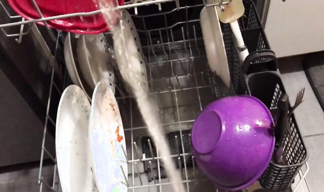 Peeing on my Kithchen Appliances (With Slow Mobility Replay)