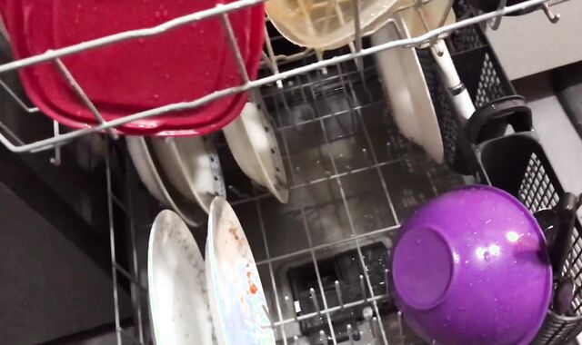 Peeing on my Kithchen Appliances (With Slow Mobility Replay)