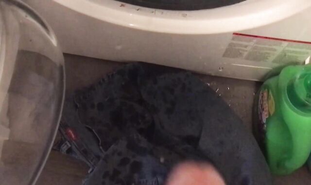 Peeing on my Kithchen Appliances (With Slow Mobility Replay)