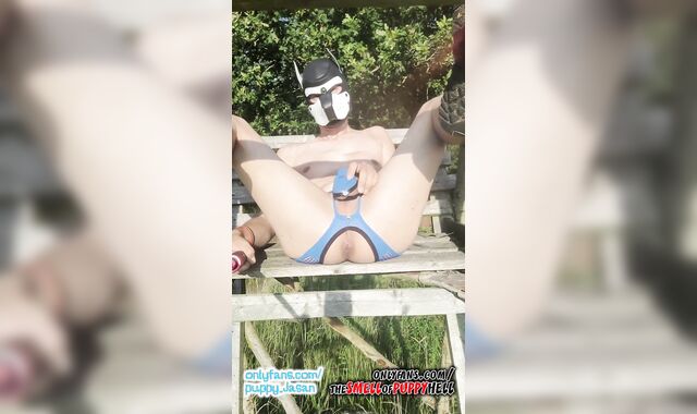 Puppy and hunting tower