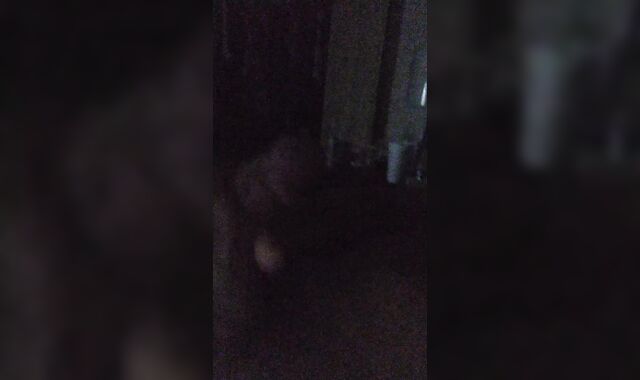 I'm immensely insatiable and fap my hard-on and taunt you (Part two)