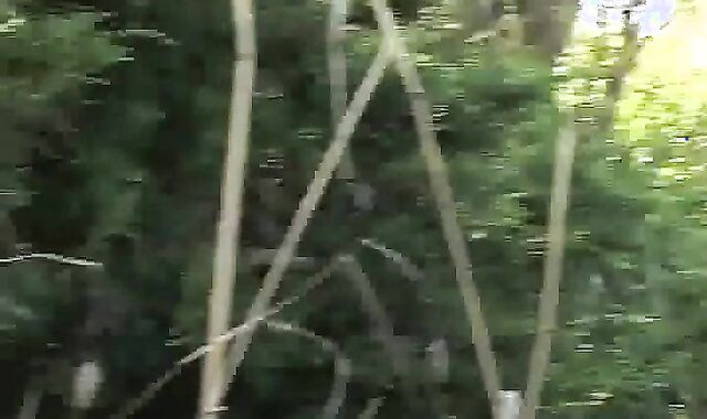 Next Door Masculine: Meaty Guy Playthings on NextDoorMale