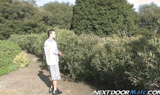 Next Door Masculine: Penis Daily's Rock Stiff Act