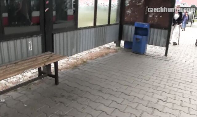 Czech Hunter: Backyard Secret That Runs away Notice