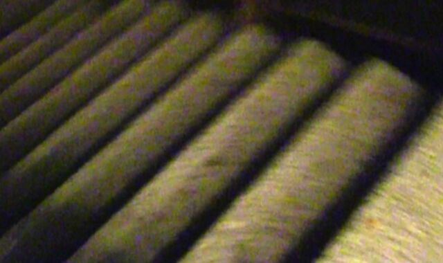 Debt Dandy: The Artistry of Allure: A Model’s Failure