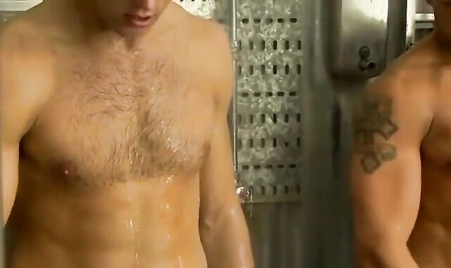 Gay-for-pay masculines Milks