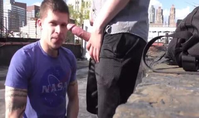 absorbing & poking On A NYC Rooftop