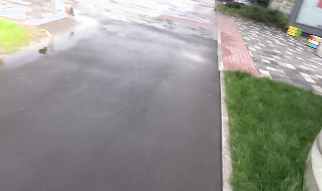 Debt Dandy: Roulette Crimson or Dark-hued: Currency for Me to Get Rigid