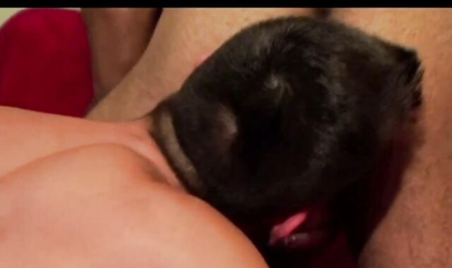 Bruce Beckham and Wilson Vasquez