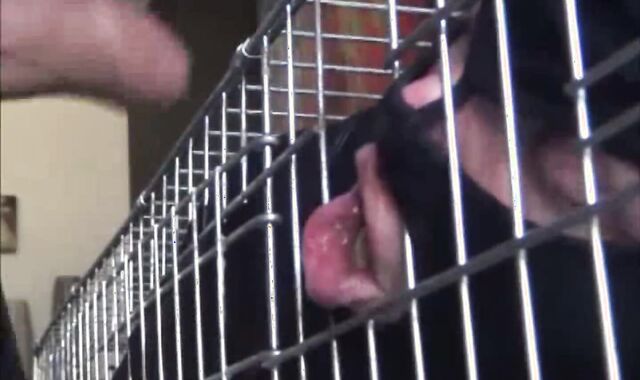 BDSM Porn HD scene 1036