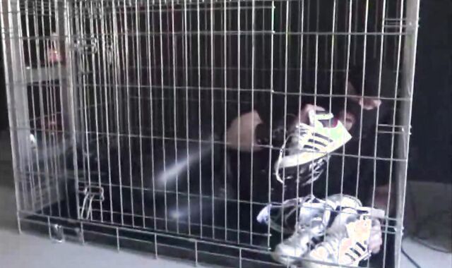 BDSM Porn HD scene 1036