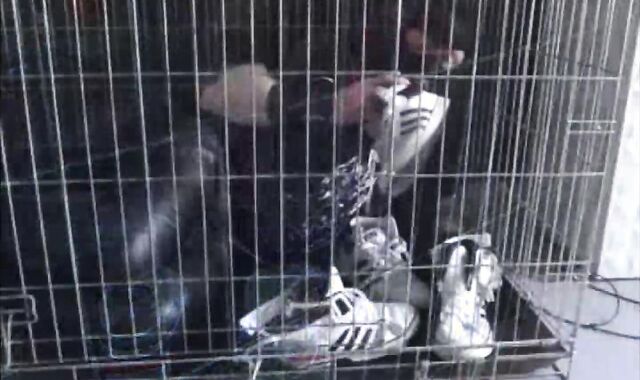 BDSM Porn HD scene 1036