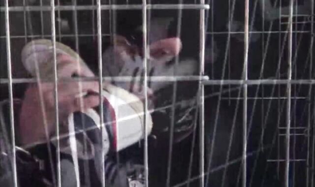 BDSM Porn HD scene 1036