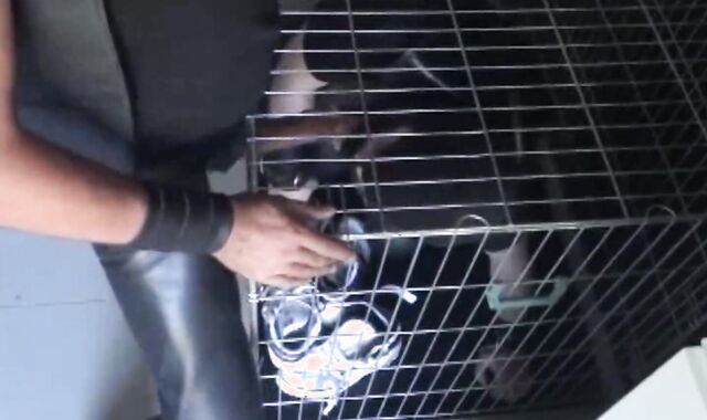 BDSM Porn HD scene 1036