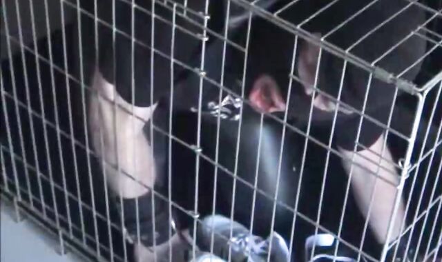 BDSM Porn HD scene 1036