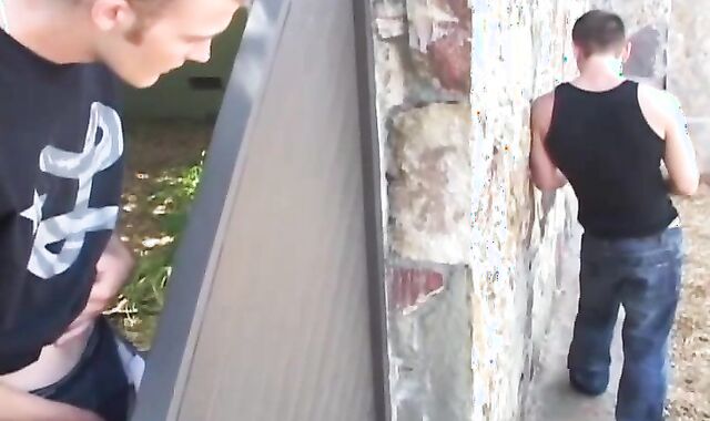 Next Door Pals: Under the Fence with Dylan