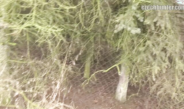 Czech Hunter: From Frustration to Rapture on the Road