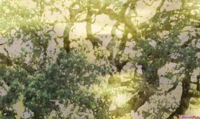 Marcus Mojo: Missionary Mischief in the Studio