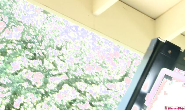 Marcus Mojo: Missionary Mischief in the Studio