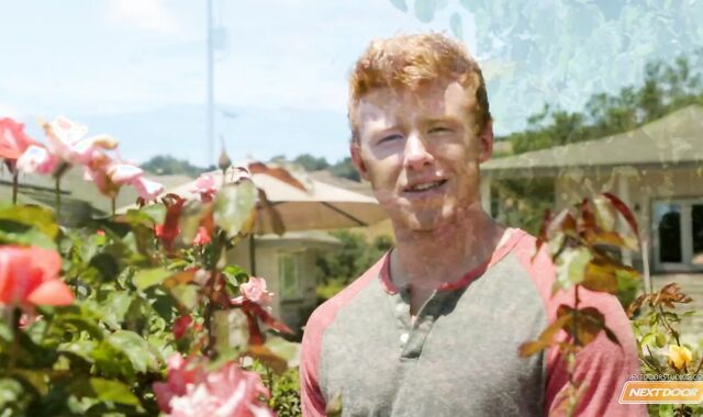 Next Door Masculine: Ginger Teddy Unsheathed