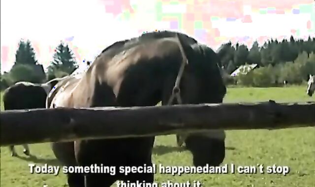 ROCK HARD RIDERS - Sequence 1 - non-pro fucky-fucky tweak - Tube8.com