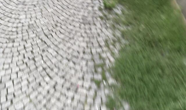 Debt Dandy: Wounded Whoremaster's Welfare Woes