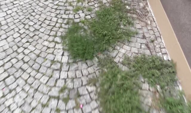 Debt Dandy: Wounded Whoremaster's Welfare Woes